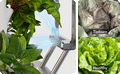 AI Growbot