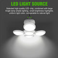 Solar Light