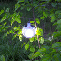 Solar Light
