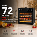 6-Tray Smoking Dehydrator