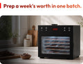 Smoking Dehydrator