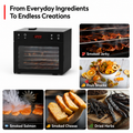 6-Tray Smoking Dehydrator