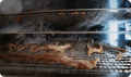 Smoking Dehydrator